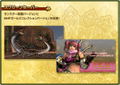 Monster Hunter Frontier Online Anniversary 2012 Premium Package thumbnail 7