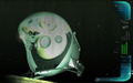 Dive to the Titanic (Extra Play) (DVD-ROM) thumbnail 10