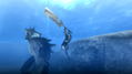 Monster Hunter Tri thumbnail 7