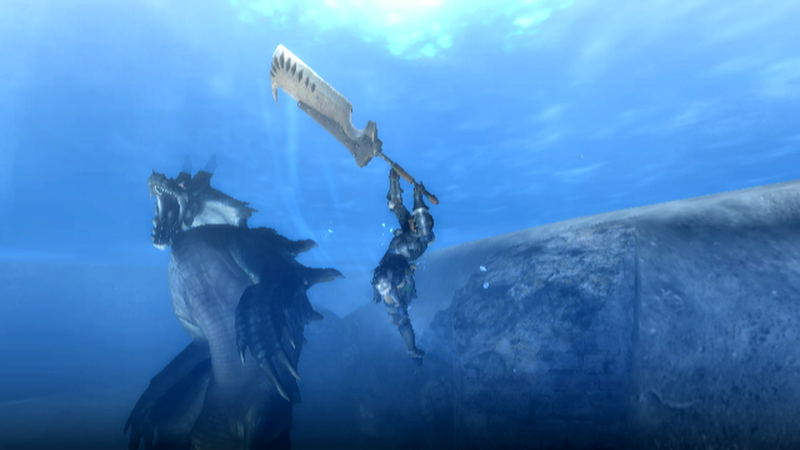 Monster Hunter Tri image 7