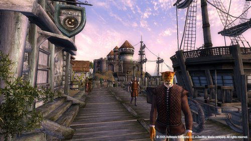 The Elder Scrolls IV: Oblivion (Collector's Edition) image 10