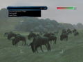 Wild Earth: African Safari thumbnail 2