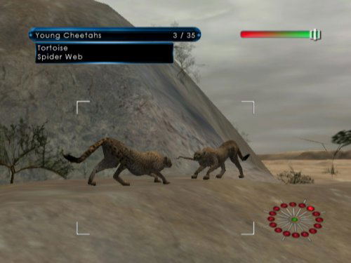 Wild Earth: African Safari image 3