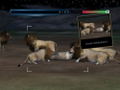 Wild Earth: African Safari thumbnail 4