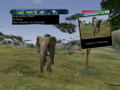 Wild Earth: African Safari thumbnail 5