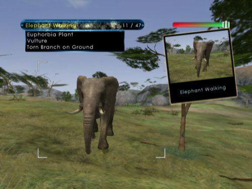 Wild Earth: African Safari image 5