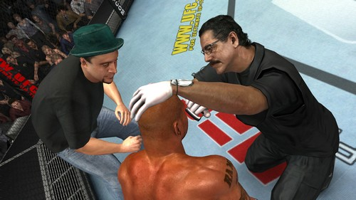 UFC Undisputed 2009 image 5