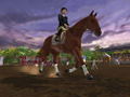 Lucinda Green's Equestrian Challenge thumbnail 4