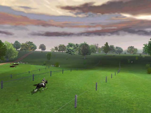 Lucinda Green's Equestrian Challenge image 6