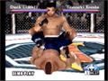 Ultimate Fighting Championship thumbnail 2