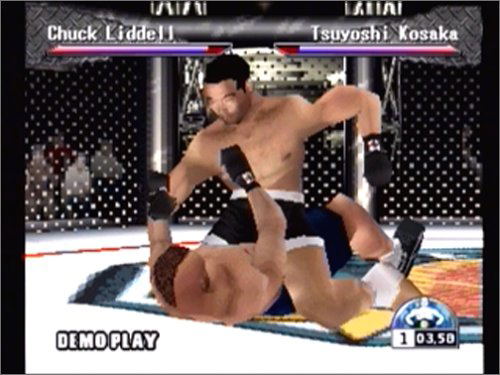 Ultimate Fighting Championship image 3