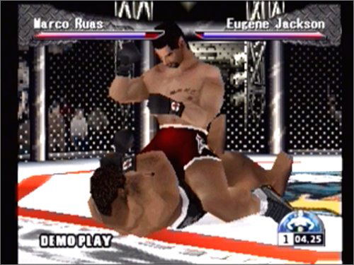 Ultimate Fighting Championship image 4