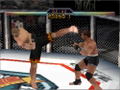 Ultimate Fighting Championship thumbnail 7