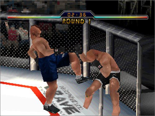 Ultimate Fighting Championship image 8