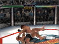 Ultimate Fighting Championship thumbnail 9