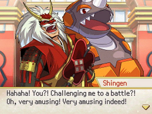 Pokemon Conquest image 2