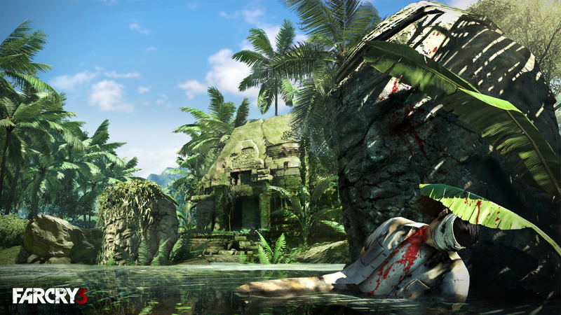 Far Cry 3 (Insane Edition) image 14