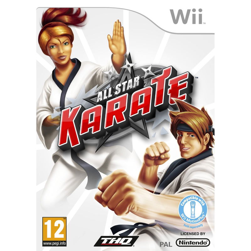 All Star Karate image 1