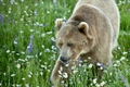 Kinect Nat Geo TV thumbnail 7