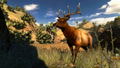 Cabela's Hunting Expeditions thumbnail 2