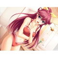 Kimi ga Aruji de Shitsuji ga Oro de: Oshie Nikki Portable [Regular Edition] thumbnail 2