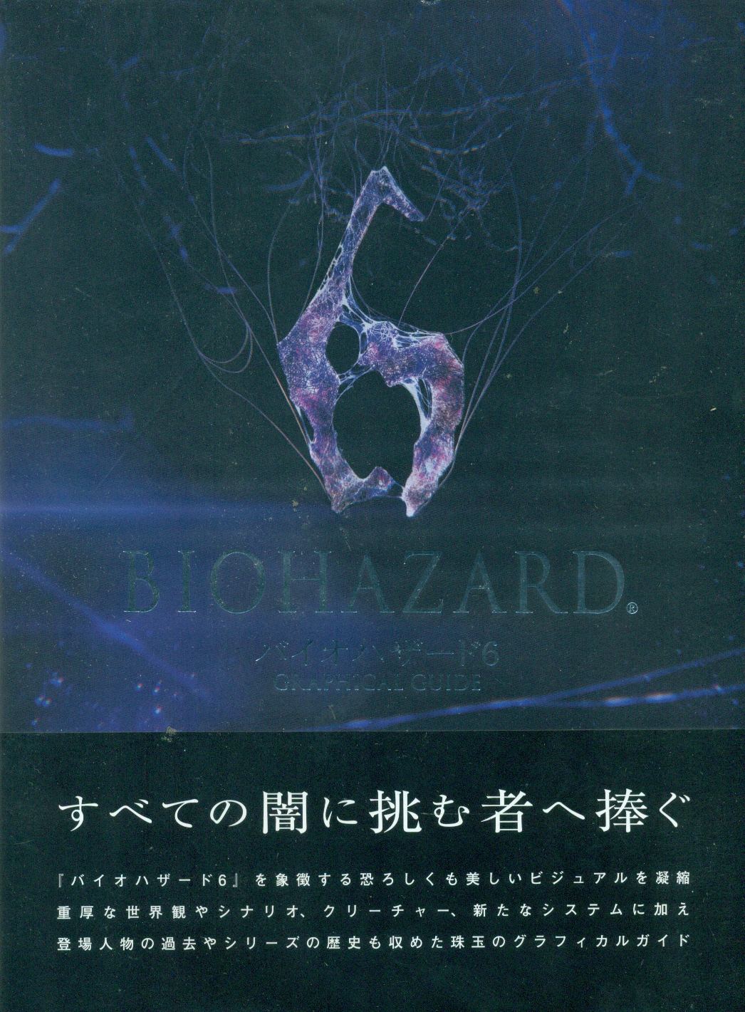 Biohazard Resident Evil 6 Graphical Guide
