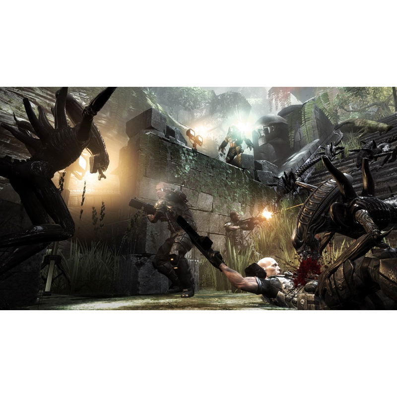 Aliens vs Predator image 10