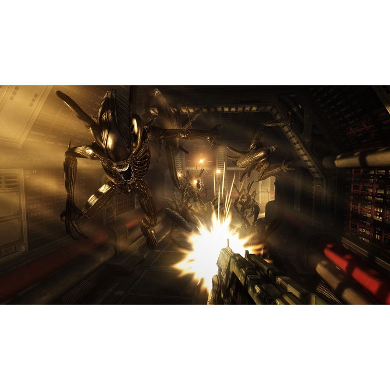 Aliens vs Predator image 3