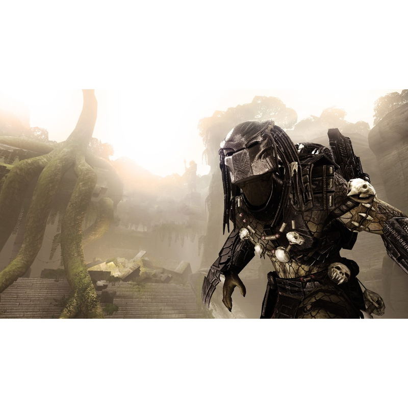 Aliens vs Predator image 4