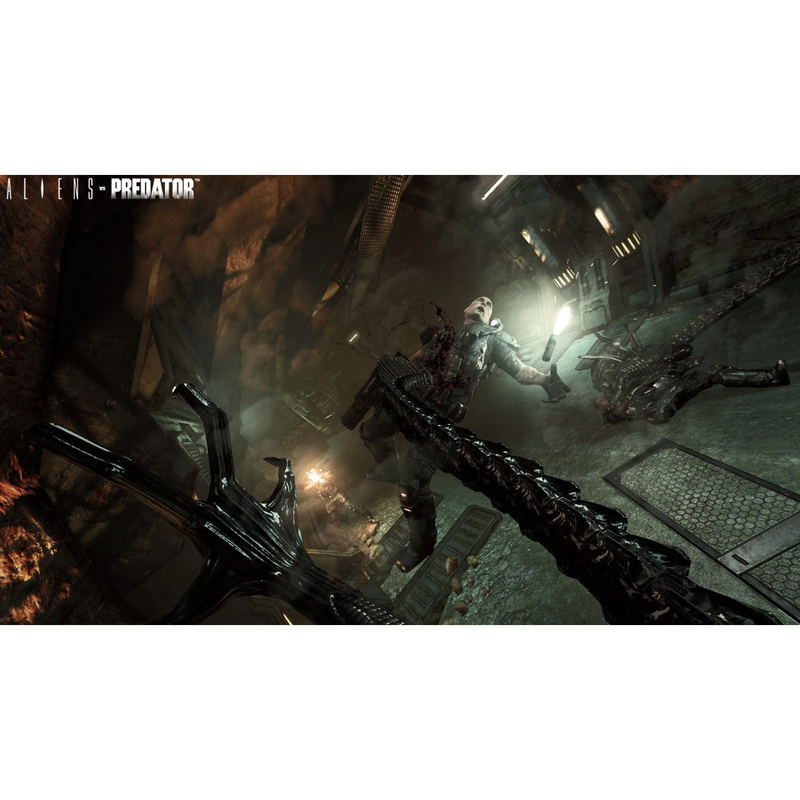 Aliens vs Predator image 6