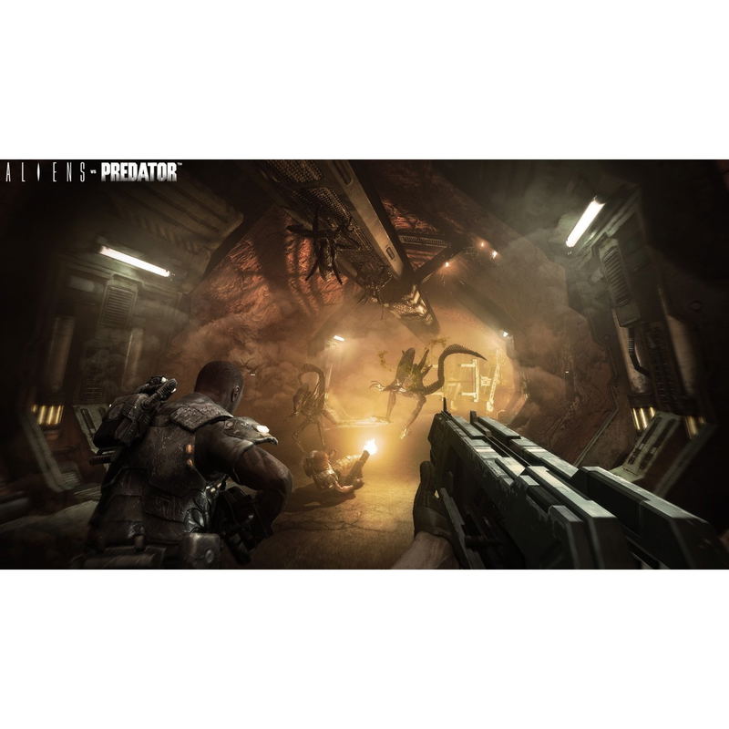 Aliens vs Predator image 9