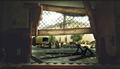 The Walking Dead: Survival Instinct thumbnail 7