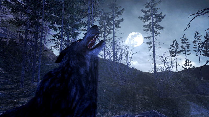 Cabela's Dangerous Hunts 2011 (w/ Top Shot Elite) image 3
