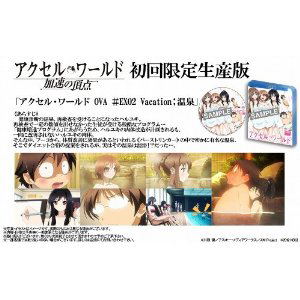 Accel World: Kasoku no Chouten [Limited Edition] image 3