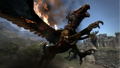 Dragon's Dogma (Playstation 3 the Best) thumbnail 7