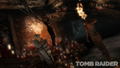Tomb Raider (Survival Edition) thumbnail 5
