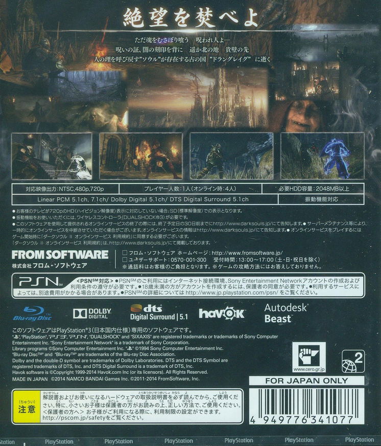 Dark Souls II image 2