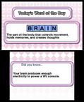 Crosswords Plus thumbnail 6