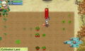 Rune Factory 4 thumbnail 5