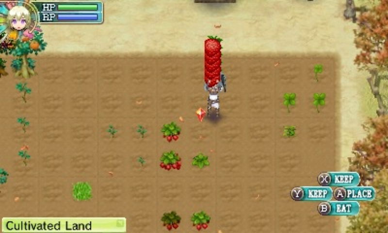 Rune Factory 4 image 5