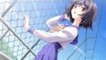 Memories Off 6 Complete thumbnail 8