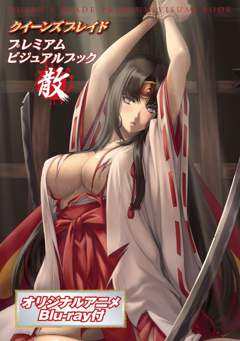 Queen's Blade Premium Visual Book image 1