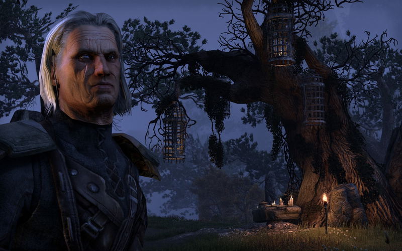 The Elder Scrolls Online (DVD-ROM) image 4