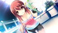 If My Heart Had Wings (DVD-ROM) thumbnail 9