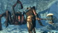 The Elder Scrolls V: Skyrim (Platinum Collection) thumbnail 2