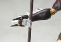 Anubis Zone of the Enders Model Kit: Anubis (Re-run) thumbnail 21