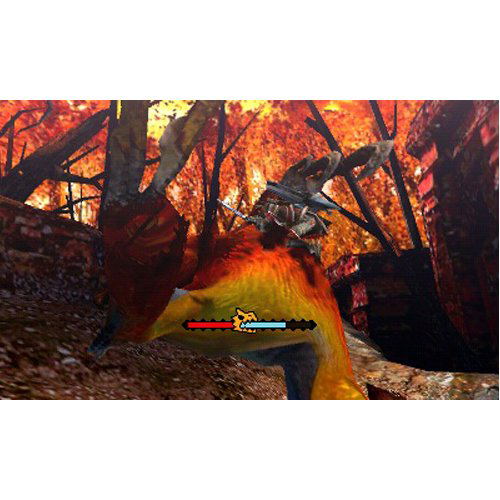 Monster Hunter 4 [e-capcom Limited Edition] image 9