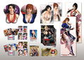 Dead or Alive 5 Ultimate [Kazumi-chan Blue & Autumn Leaf Red Saikyou Package] thumbnail 1