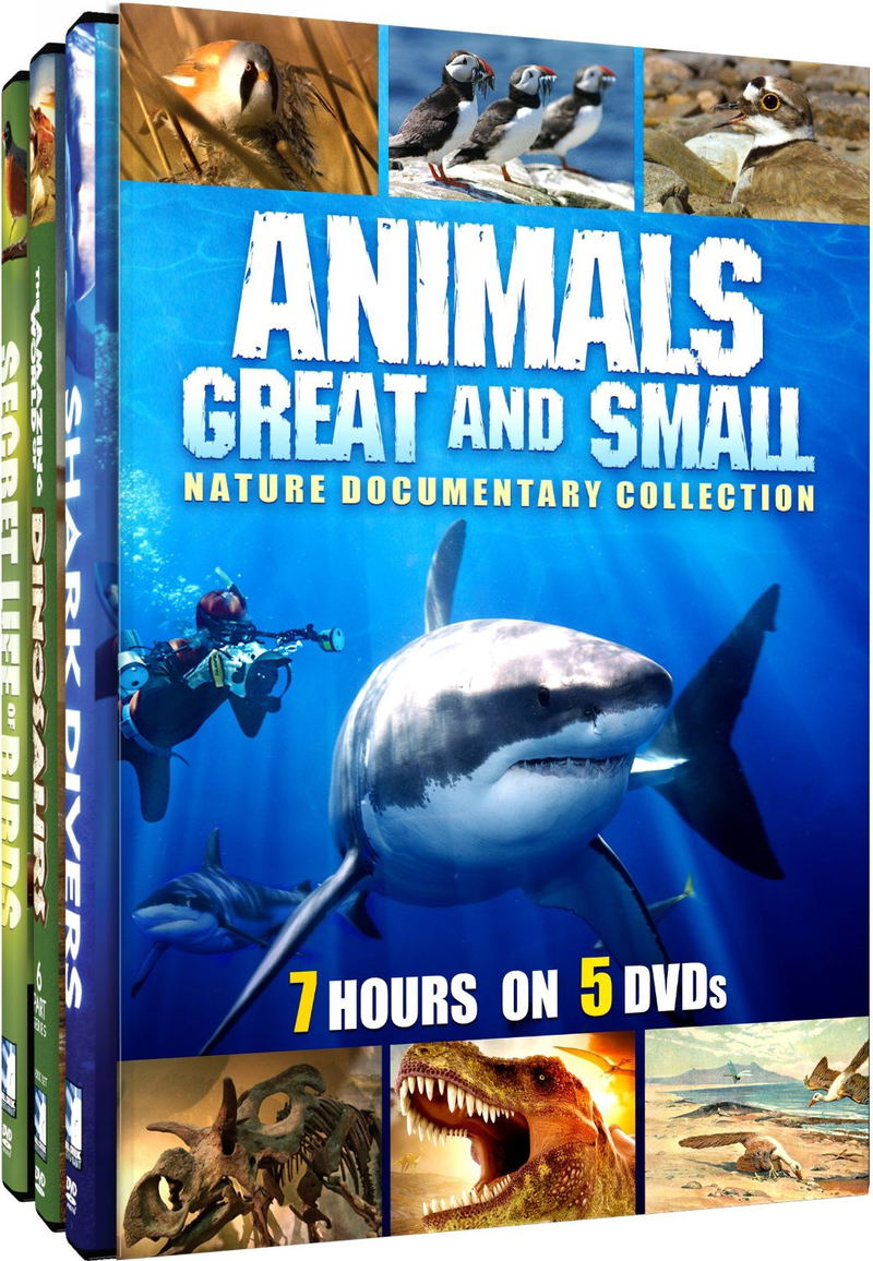 Animals Great and Small: Nature Documentary Collection image 1