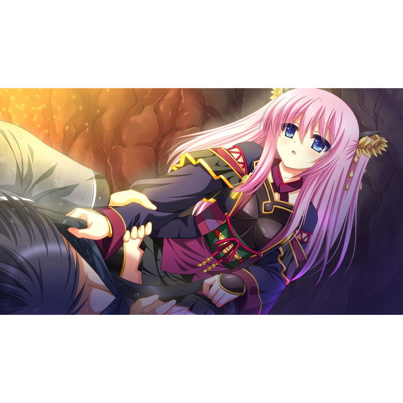 Sengoku Hime 4: Souha Hyakkei Hanamamoru Chikai [Luxury Limited Edition] image 5